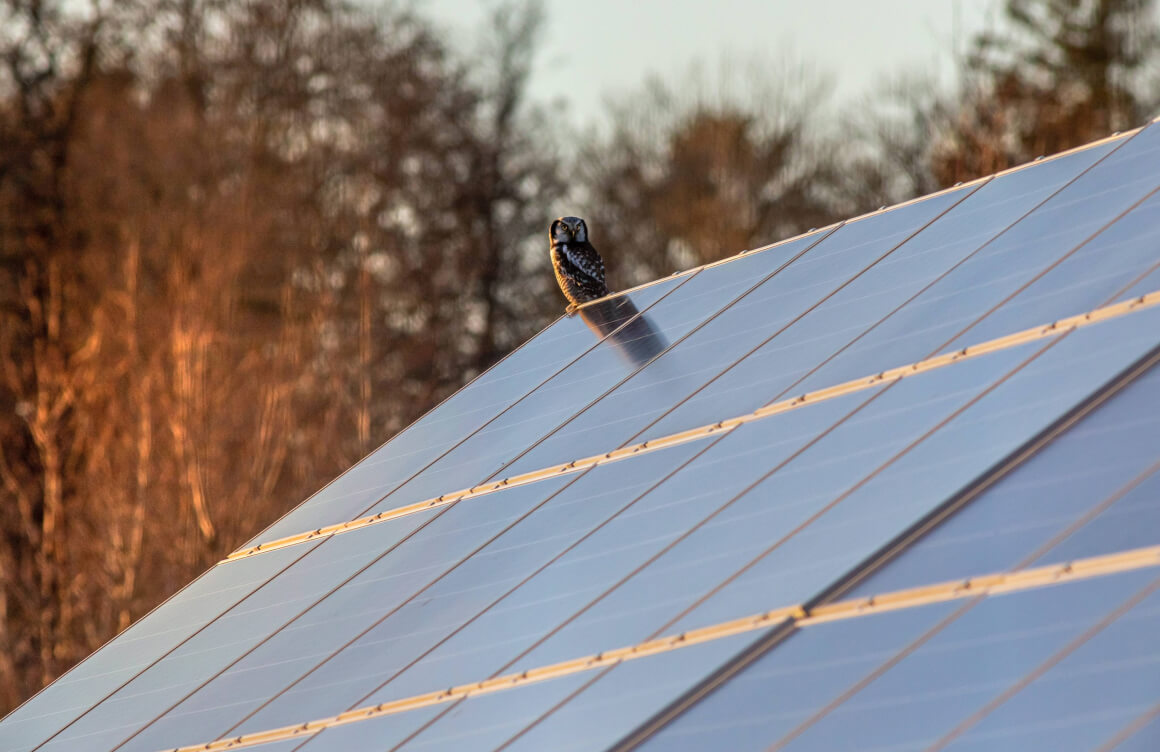 rooftop solaring